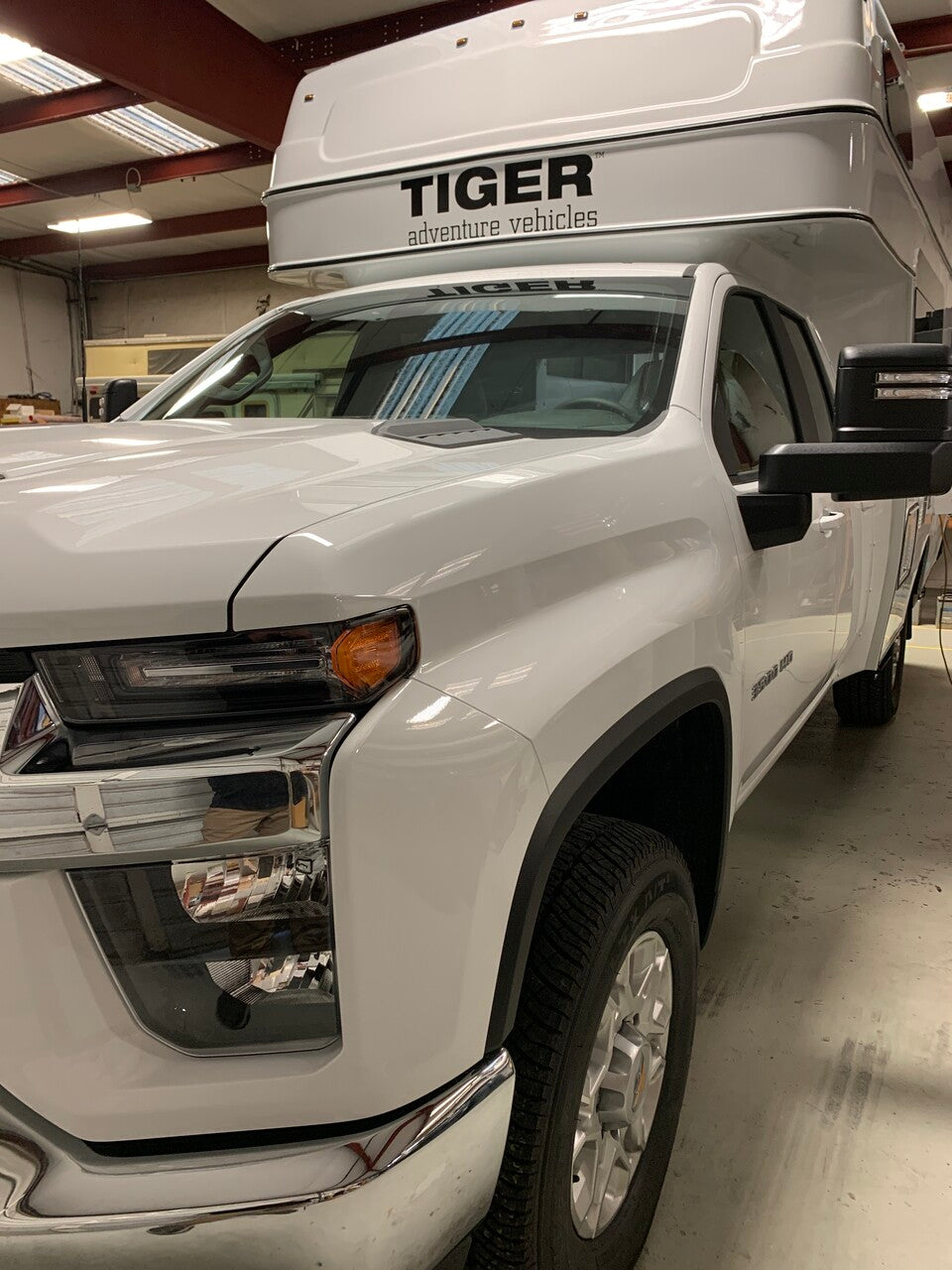 Tiger RV decals – Provan RV/Tiger Adventure Vehicles